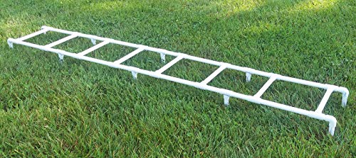 Affordable Agility Training Ladder for Dogs