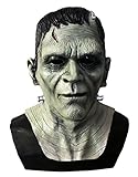 Universal Studios Silver Screen Edition Frankenstein Mask