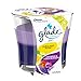Glade 2in1 Jar Candle Air Freshener, Jubilant Rose & Lavender & Peach Blossom, 2 Candles, 6.8 oz
