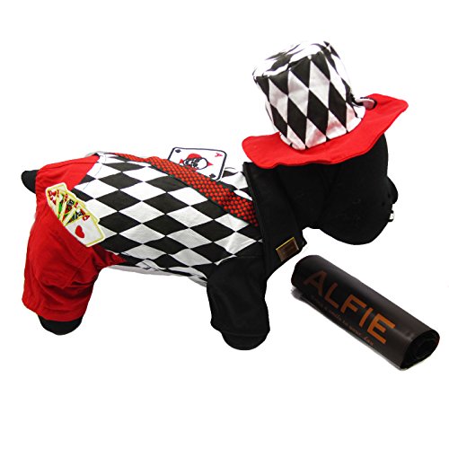 Alfie Pet by Petoga Couture - Aldis Magician Costume