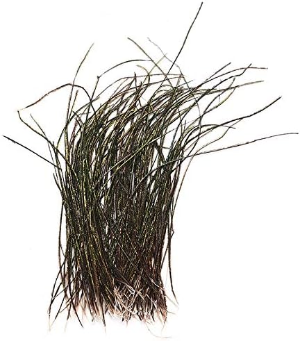 Uranus - New Fly Tying Peacock Herl Pack 3 to 7 Inch Feathers Wire Tying Materials New Sale