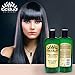 Hemp and Omega 3 Conditioner, for Damaged Hair, Frizzy Hair, Thinning Hair, Volume, Sulfate Free (Single)