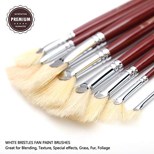 Dainayw White Bristles Fan Paint Brushes, Profession Artist Oil Acrylic