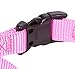 GOGO Pet Products 5/8-Inch Martingale Dog Collar, Small, Pink