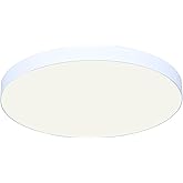 Canarm LED 12-Inch Flush Mount Ceiling Light, 25W Dimmable White Finish with Adjustable 5CCT, Low Profile Lighting for Kitche