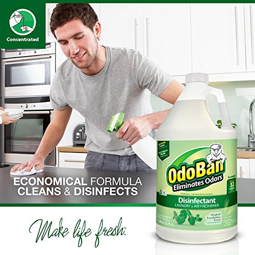 3 OdoBan+Disinfectant+Eliminator+Concentrate+Eucalyptus