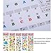 Piano Stickers for Keys - Color Piano Keyboard Stickers For 88/61/54/49 - Removable with Numbers, Leaves No Residue, User Guide ，Perfect for the Beginners