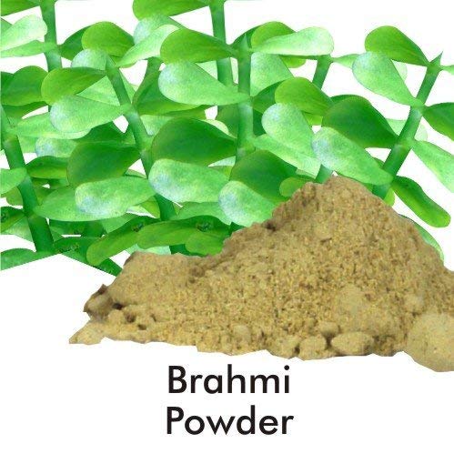 Cost Of Brahmi