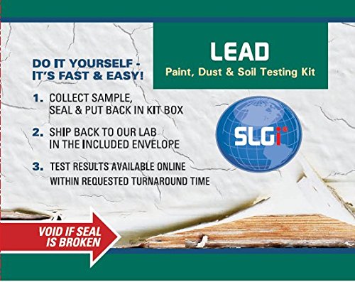 1 Lead+Test+Paint+Dust+Schneider