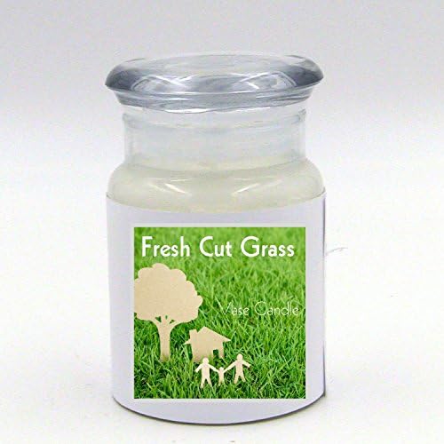 2 Fresh Cut Grass Jars | Vase Candle | 60 Hour Burn Time | Premium Soy Paraffin Wax Blend | Highly Scented | Self-Trimming Wick