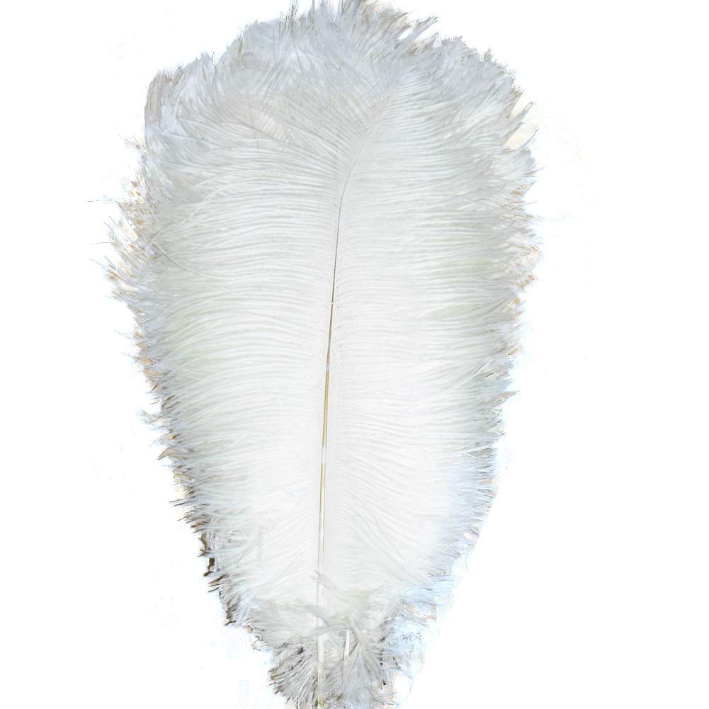 KOLIGHT Set of 10pcs 35~40cm Natural Ostrich Feathers for DIY Home Wedding Party Office Decoration (White)