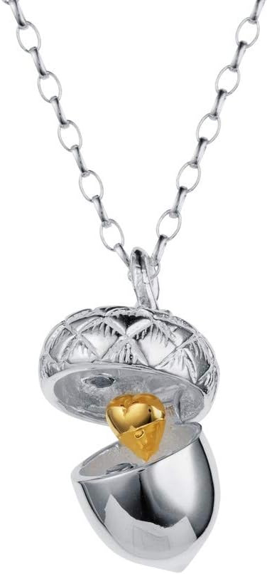 Womens 925 Silver Acorn Locket Necklace with Gold Heart On 24 Inch Chain