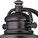 Westinghouse 6204000 Emma Jane One-Light Outdoor Wall Lantern, 1-Pack, Black