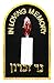 Ner Mitzvah Electric Yahrzeit Candle - LED Plug-in Memorial Candle - Flameless Memorial Candles - Safe & Easy to Use