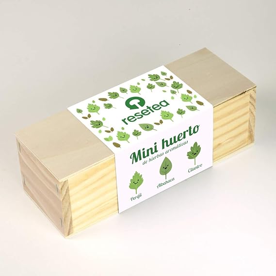 Resetea Minihuerto de hierbas aromáticas: Amazon.es: Jardín