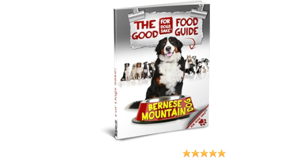 bernese mountain dog food portions