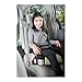 Graco Highback Turbobooster Car Seat, Go Green