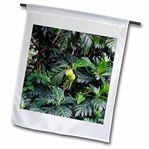 3dRose fl_226562_2 Garden Flag, 18" x 27"