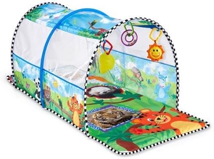 baby einstein tunnel