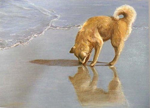 Custom Pet Portrait, Commission in Colored Pencil, 8" x 10" by Artist Robin Zebley