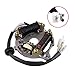 FLYPIG Wiring Harness Wire Loom Ignition Switch CDI Unit Magneto Stator Assembly Fit for Yamaha PW50 PW 50 Y-Zinger Peewee Motorcycle Dirt Pit Kid Bike ATV