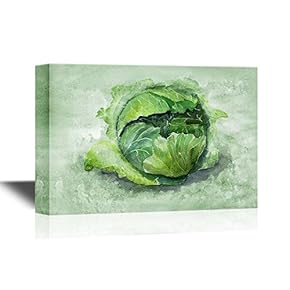 Canvas Wall Art - Watercolor Painting of Cabbage - Gallery Wrap Modern Home Art | Ready to Hang - 12x18 inches