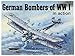 German Bombers of WWI in action - Aircraft No. 173 by 