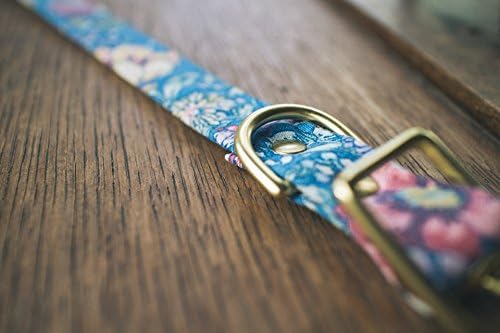 Blue Summer + Brass Dog Collar - Made in Melbourne, Australia