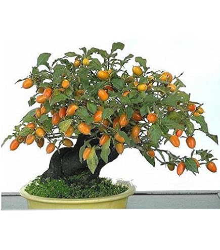 lego ninjago bonsai LEGO® Botanicals Mini Bonsai Trees #10373 DIY Light Bundle