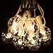 Hometown Evolution, Inc. 100 Foot White String Lights - G40 Clear Globe Bulbs (White Wire) - Outdoor Indoor String Lights for Wedding, Cafe, Bistro, Market, Bedroom and Tent Lighting