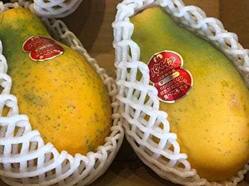 Amazon パパイヤ宮崎産 フルーツひろは パパイヤ 通販