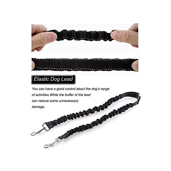 MEKEET-Bungee-Double-Dog-Coupler-Lead-No-Tangle-Two-2-Dog-Leash-and-Splitter-for-Walking-Puppy-Small-Medium-Large-dog-Black Bungee Double Dog Lead No Tangle Two 2 Dog Leash Coupler, For Walking Puppy, Small, Medium, Large dog, Adjustable 19.6…