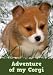 Adventure of my Corgi (A Learn to Read Picture Book for Kids) An easy reader series