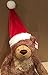 GUND Slumbers Teddy Bear Stuffed Plush Animal Exclusive Version with Santa Hat for Christmas