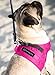 Comfort Fit Dog Harness No Pull No Escape Harness Adjustable Buckles Soft Padded Reflective Choke Step in Dog Vest with Easy Control Handle for Small Medium Large Dogs & Puppies