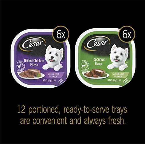Cesar Classics Dog Food Variety Pack - Image 7