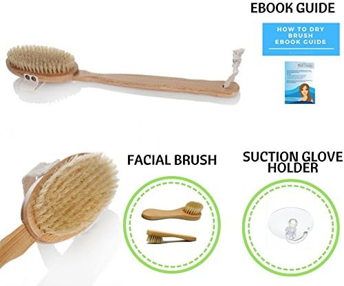 Dry Brush With Cruelty Free Natural Boar Bristle, Long Natural Bamboo Attachable Handle And Hand Brush, FREE Facial Brush, FREE Suction Cup Brush Holder