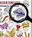 fishcardscom Marine Invertebrates - Florida, The Bahamas & Caribbean ID Card