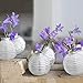 CHIVE - Set of 6 Smasak 2.5