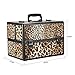 Docooler Lockable Cosmetic Organizer, Box Foldable Makeup Train Storage Case Holder, 2 Layers