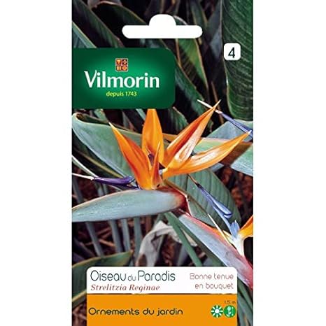 Vilmorin Sachet Graines Oiseau De Paradis Strelitzia