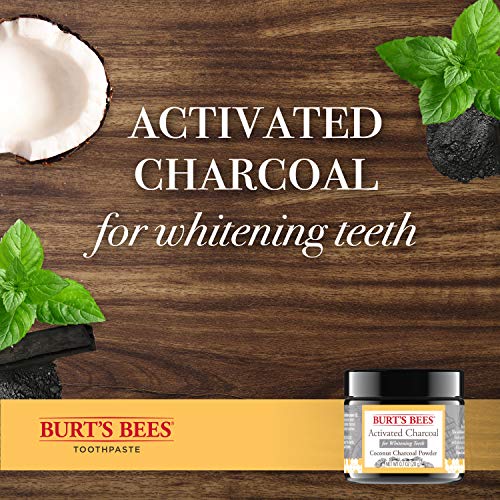 3 Burts+Bees+Activated+Charcoal+Whitening