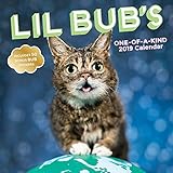 Lil Bub's One-of-a-Kind 2019 Wall Calendar by 