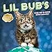 Lil Bub's One-of-a-Kind 2019 Wall Calendar by 