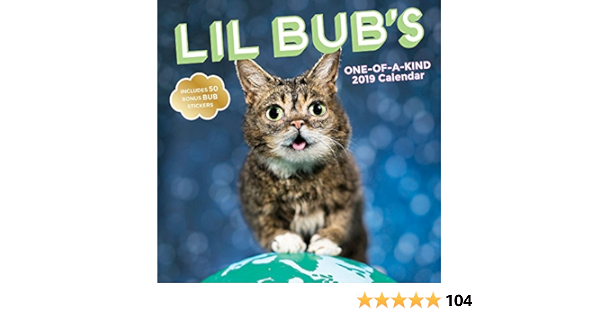 Amazon.com: Lil Bub's One-Of-A-Kind 2019 Wall Calendar: 9781419730801: Lil Bub: Books