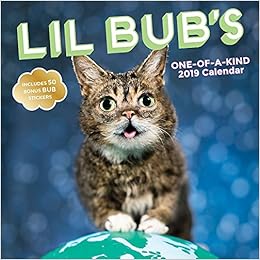 lil bub litter