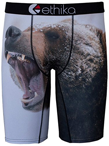 Ethika Men's Bears Spring Boxer Brief, Brown, Large