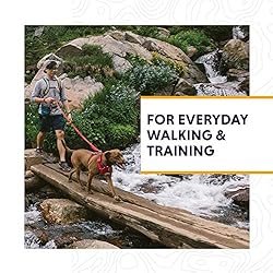 Ruffwear, Front Range Dog Harness, Reflective and