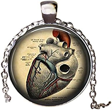 Anatomical Heart Pendant Necklace Science Pendant Biology Heart Necklace Medical Student Gift