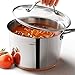HOMI CHEF Mirror Polished NICKEL FREE Copper Band Stainless Steel 2.5 QT Sauce Pan with Glass Lid (No Toxic Non Stick Coating, 7 Inch) - Cookware Set - Cookware Pots And Pans Sets